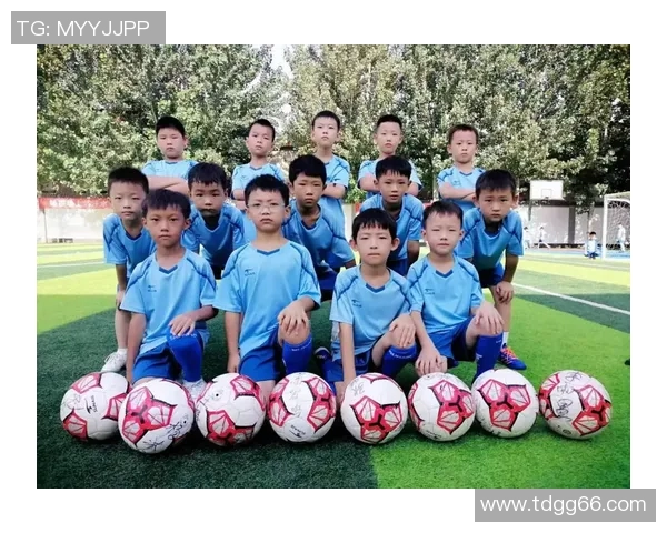 追逐绿茵梦想从少年到巨星的奋斗与荣耀自传